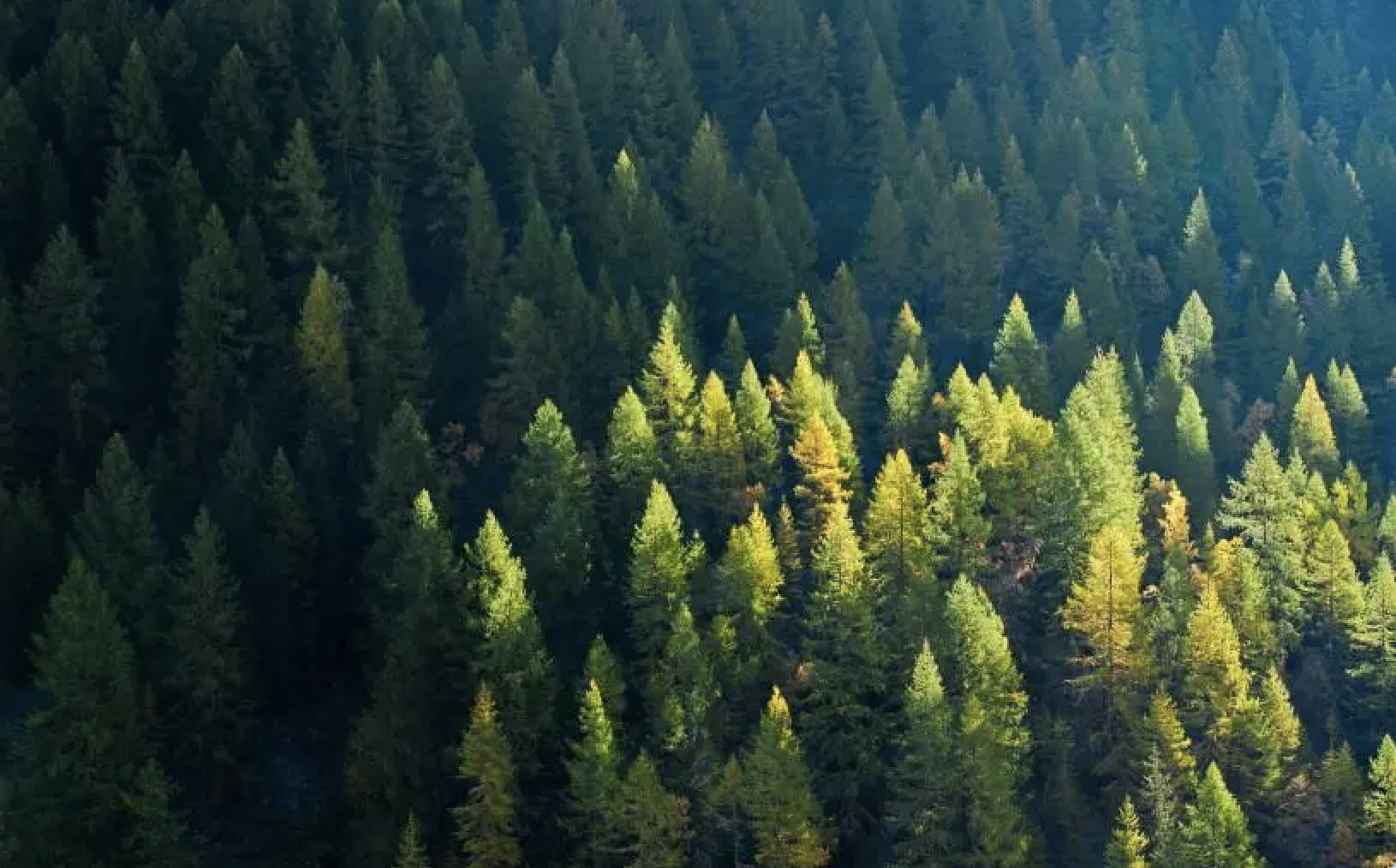 生態(tài)環(huán)境